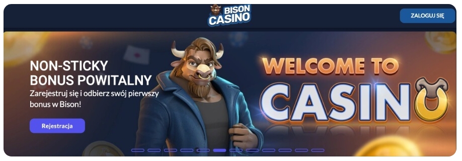 Bison