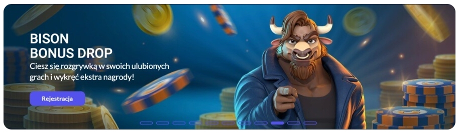 Bison